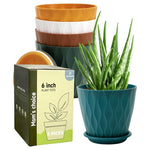 5-Pack 6” Planter Pots with Saucers