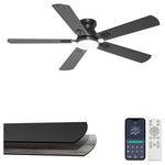 Phylluz 52'' Flush Mount Ceiling Fan With Lights