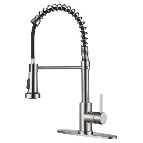 Kitchen Faucet with Pull Down Sprayer