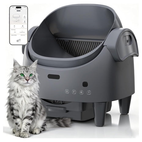 Self-Cleaning Litter Box With Open-Top Design