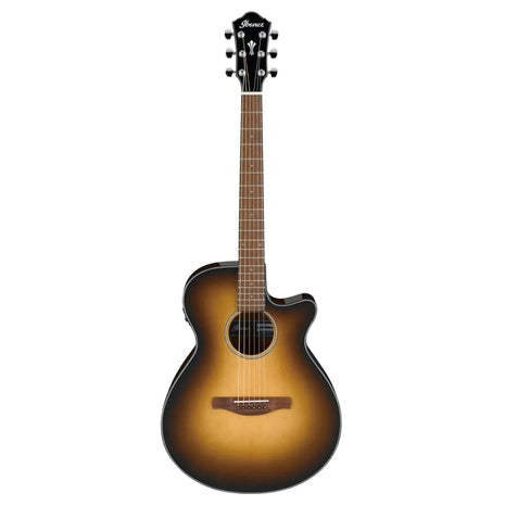 Ibanez AEG50 Acoustic-Electric Guitar