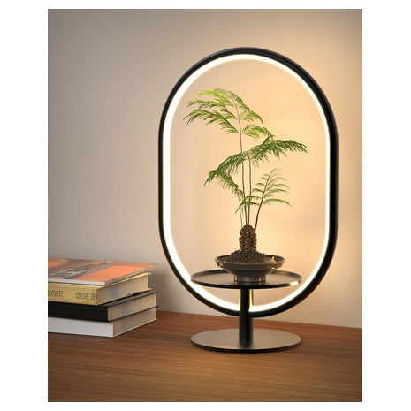 Modern Table Lamp With Storage Tray