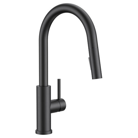 Forious Black Kitchen Faucet W/ Pull Down Sprayer & Classic Single Handle