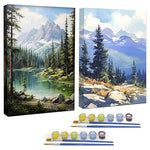 2-Pack Paint by Numbers with Frame