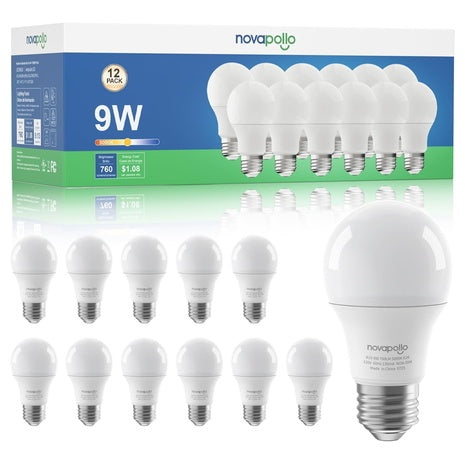 12 A19 LED Light Bulbs
