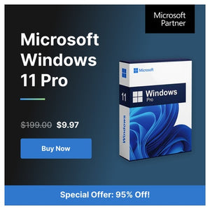 Microsoft Windows 11 Pro