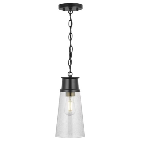 Progress Lighting Calicott Hanging Pendant Light