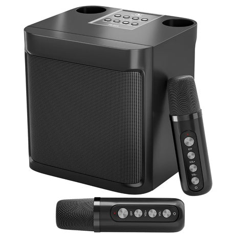 Freefish Portable Karaoke Machine W/ 2 Wireless Mics