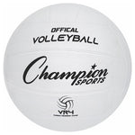 Champion Sports Volleyballs