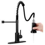 Kitchen Faucet with Pull Down Sprayer