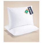 2 Ultra Thin Queen Pillows