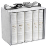 5 Volume Artscroll Hebrew English Mid Size Ashkenaz Faux Leather Machzor Set