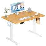 40" Height Adjustable Sit-Stand Computer Electric Standing Desk