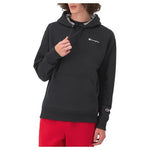 Champion Men's Small Script Logo Hoodie