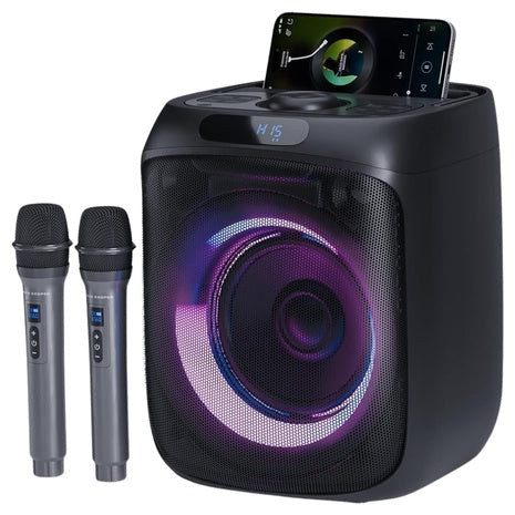 Portable Bluetooth Karaoke Machine with 2 Wireless Mics