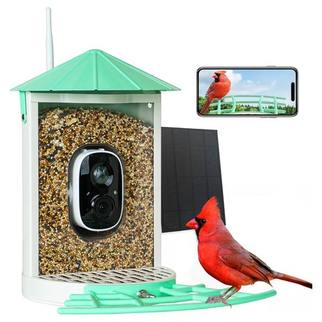 Birdkiss Smart Bird Feeder with Camera