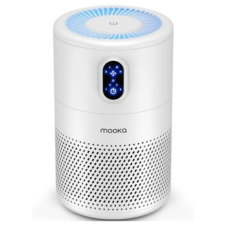 HEPA Air Purifier (Up to 1,076 Sq Ft)