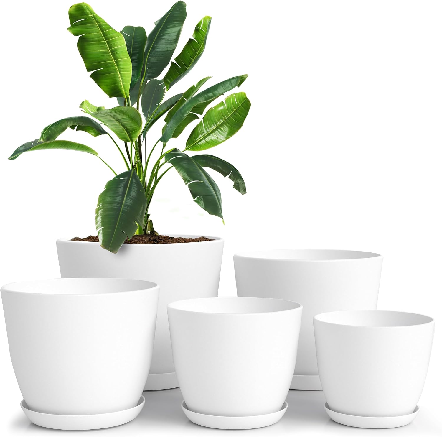 5-Pack Utopia Home Plastic Plant Pots With Drainage