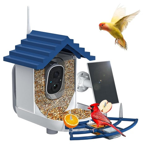 AI Smart Feeder with Bird ID & Motion Alert