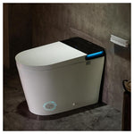 Casta Diva Smart Toilet With Built-In Bidet