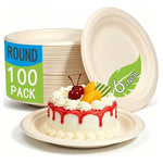 100 Disposable Small Paper Plates