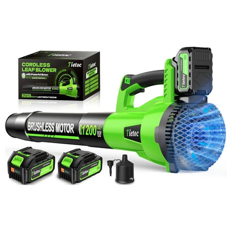 Cordless Leaf Blower with 2 Batteries