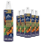 6-Pack Glade Embers & Sandalwood Air Freshener