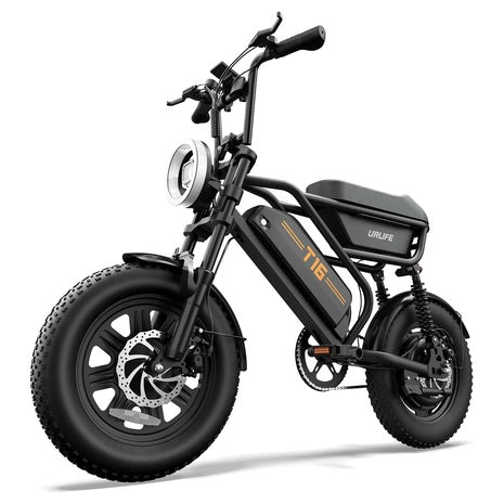 16" Fat Tire All-Terrain Electric Dirt Bike With 48V 13AH Removable Battery