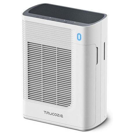 New White Air Purifier With Double Sided Air Inlet