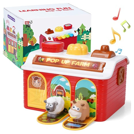 Montessori Pop Up Activity Toy