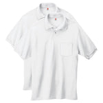 2 Hanes Polos (5 Colors)