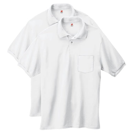 2 Hanes Polos (5 Colors)