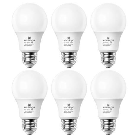 6 A19 LED Light Bulbs