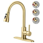 Kitchen Faucet with Pull Down Sprayer