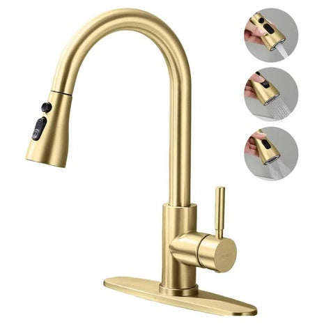 Kitchen Faucet with Pull Down Sprayer