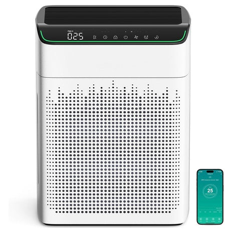 Large Room Air Purifier with HEPA Filter