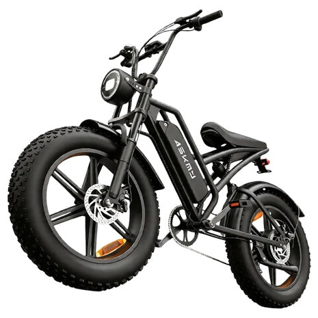 750W Continuous 20'' Fat Electric Bike For Adults