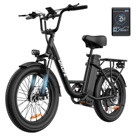 URLIFE 20" 1000W 48V13AH Fat Tire Electric Bike