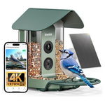 Kiwibit Beako Smart Bird Feeder With 4K Camera Solar Powered