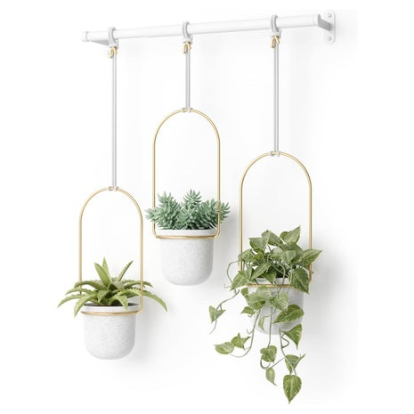 Set Of 3 Umbra Triflora Hanging Planter For Window