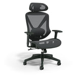 Staples Dexley Ergonomic Mesh Swivel Task Office Chair