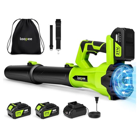 Cordless Leaf Blower with 2 Batteries & Fast Charger