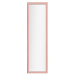 Over the Door Mirror