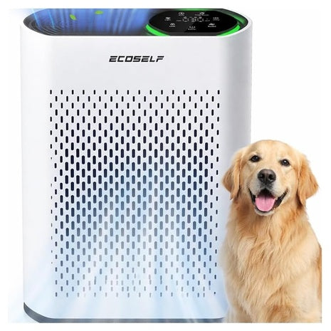 Large Room True HEPA Air Purifier (2,400 ft²)