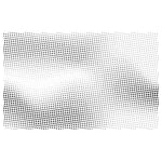 Test Only