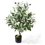 2ft Artificial Olive Tree