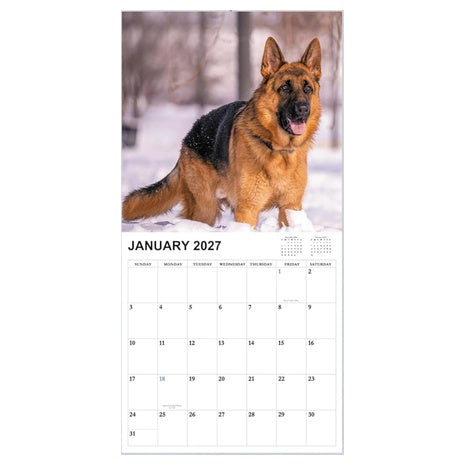 2026–2027 18-Month Wall Calendar