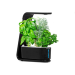 AeroGarden Sprout con kit de semillas de hierbas gourmet de 3 cápsulas