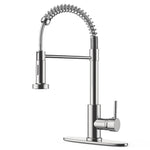 Kitchen Faucet with Pull Down Sprayer