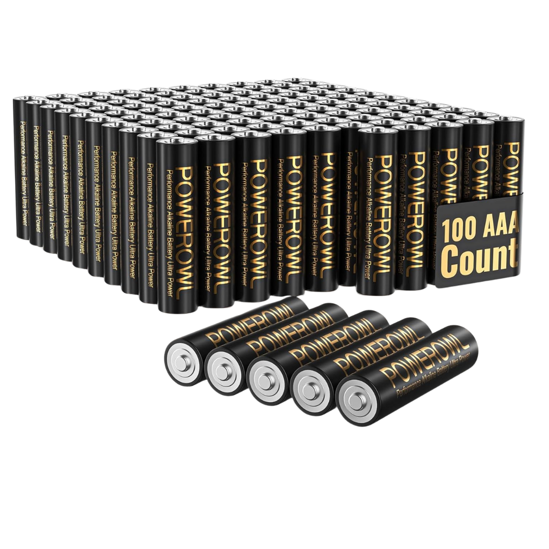 100 AAA Alkaline Batteries